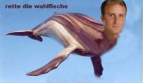 wahle.jpg